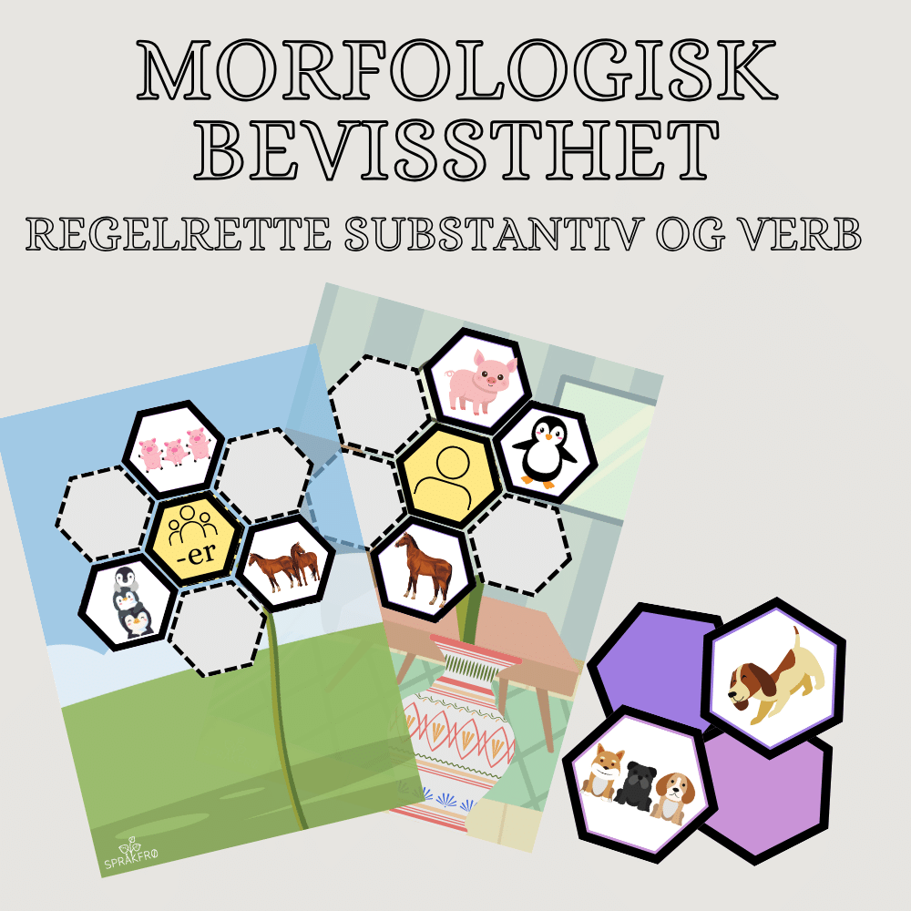 Morfologisk bevissthet: regelrette substantiv og verb