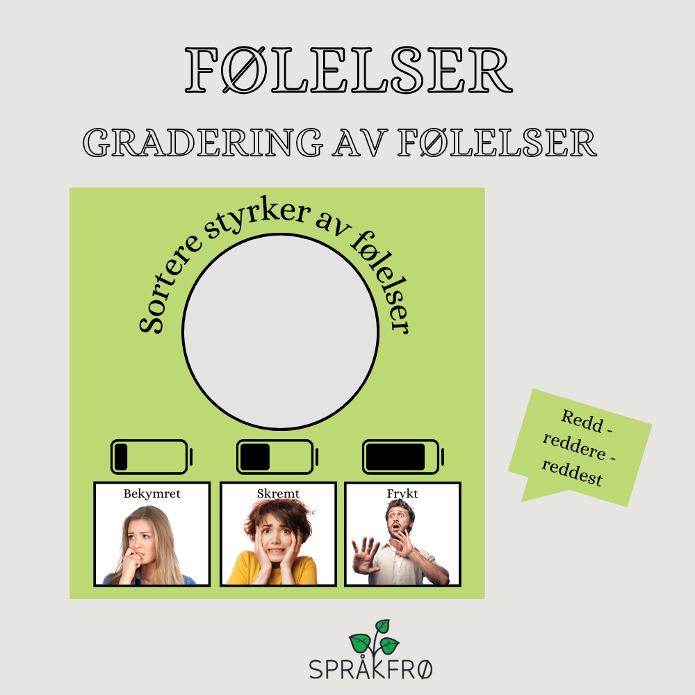 Følelser: Tankekartmetodikk