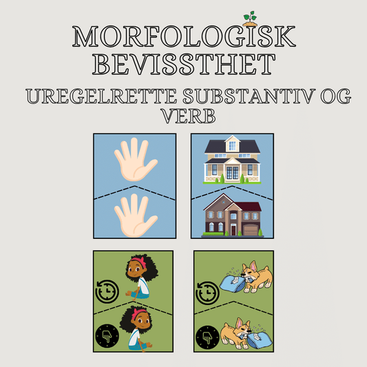 Morfologisk bevissthet: uregelrette substantiv og verb