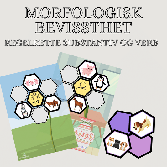 Morfologisk bevissthet: regelrette substantiv og verb