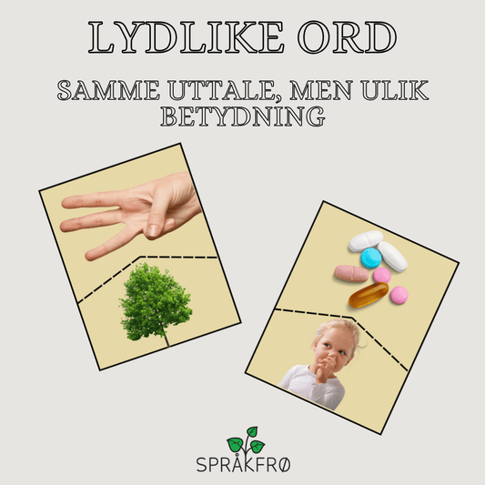 Språklig bevissthet: samme uttale, men ulik betydning (homofone ord)